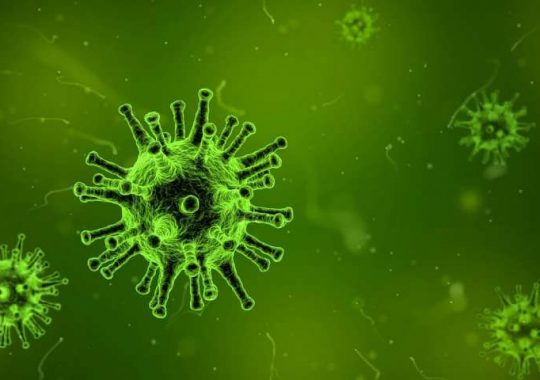 Threat or Paranoia? 5 Coronavirus Myths and the Underlying Truth