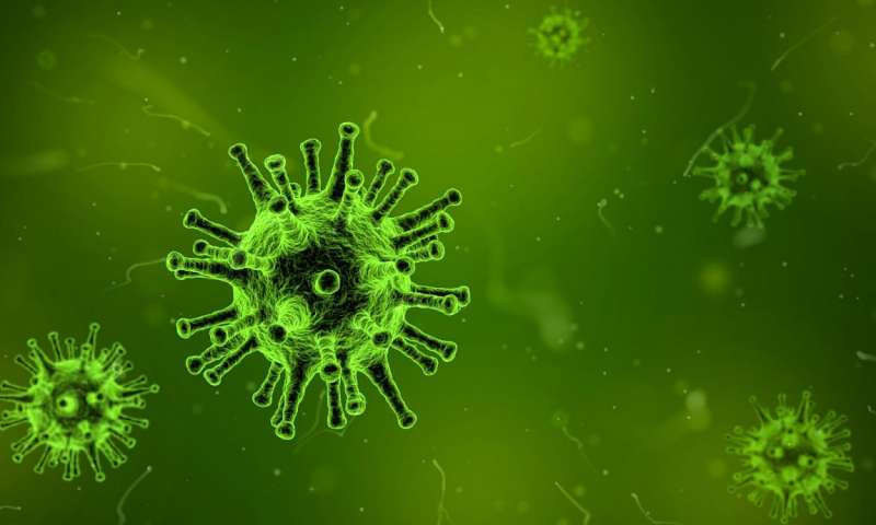 Threat or Paranoia? 5 Coronavirus Myths and the Underlying Truth